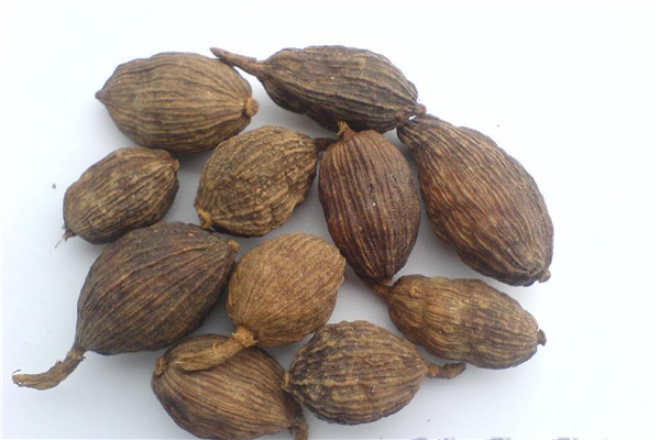 草果去腥嗎 草果可以燉雞嗎