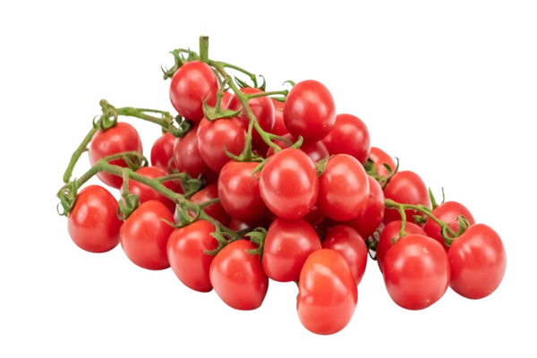 圣女果的含糖量高嗎 圣女果的營養(yǎng)價(jià)值是什么