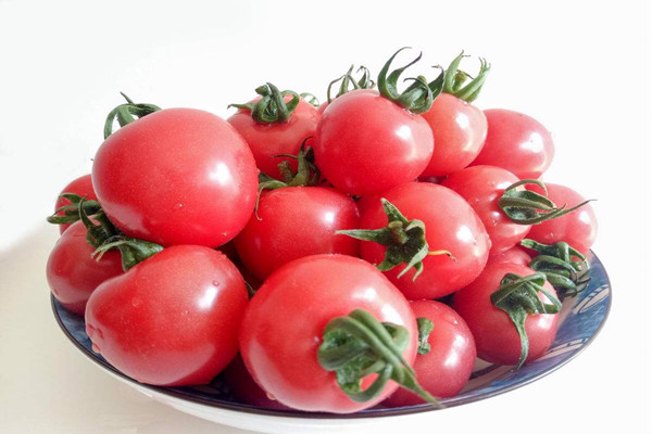 圣女果能放冰箱嗎 圣女果放冰箱能放多久 圣女果能放冰箱嗎 圣女果放冰箱能放多久