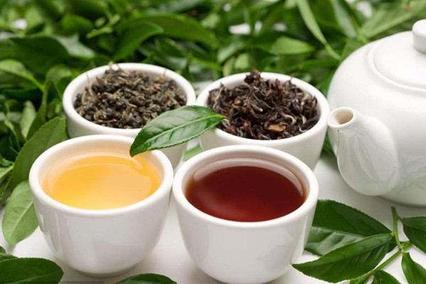 烏龍茶能空腹喝嗎 烏龍茶能天天喝嗎 烏龍茶能空腹喝嗎 烏龍茶能天天喝嗎