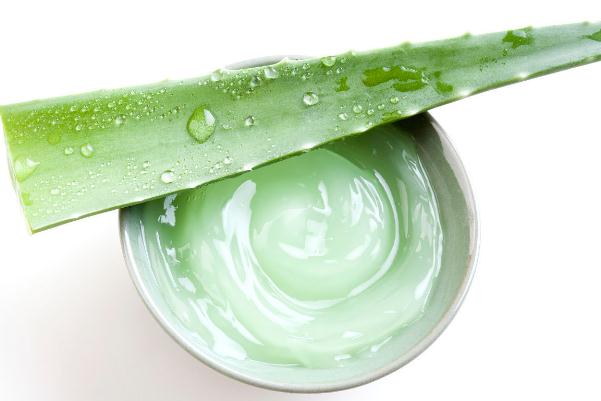 蘆薈膠的功效與禁忌 蘆薈膠的保質期是多久 蘆薈膠的功效與禁忌 蘆薈膠的保質期是多久