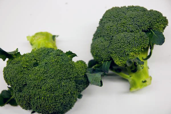 西蘭花如何挑選 西蘭花怎么保存時(shí)間長(zhǎng) 西蘭花如何挑選 西蘭花怎么保存時(shí)間長(zhǎng)