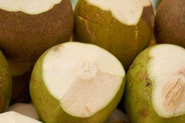 椰子汁喝了會發(fā)胖嗎 椰子汁有點酸能喝嗎 椰子汁喝了會發(fā)胖嗎 椰子汁有點酸能喝嗎