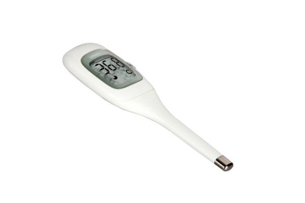 電子體溫計測量哪個部位最準(zhǔn)確 電子體溫計的正確使用方法 電子體溫計測量哪個部位最準(zhǔn)確 電子體溫計的正確使用方法