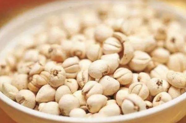 川貝對(duì)支氣管炎有用嗎 川貝對(duì)肺結(jié)節(jié)有用嗎