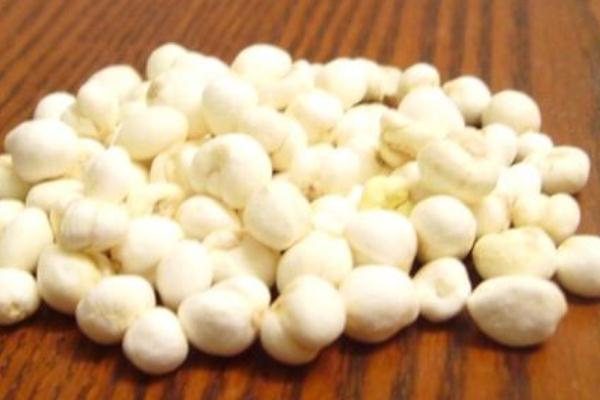 川貝是蓮子嗎 川貝是止咳的嗎 川貝是蓮子嗎 川貝是止咳的嗎