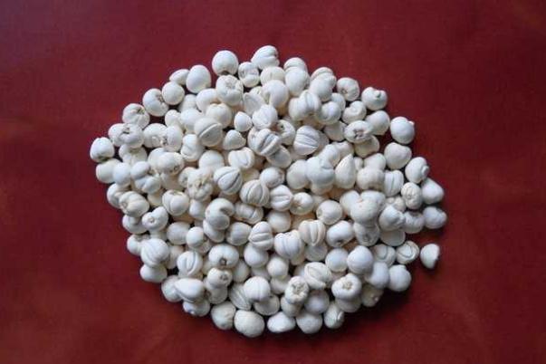 川貝會(huì)苦嗎 川貝會(huì)不會(huì)過期 川貝會(huì)苦嗎 川貝會(huì)不會(huì)過期