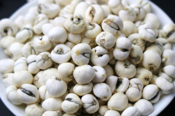 川貝是什么樣子 川貝是涼性還是熱性 川貝是什么樣子 川貝是涼性還是熱性