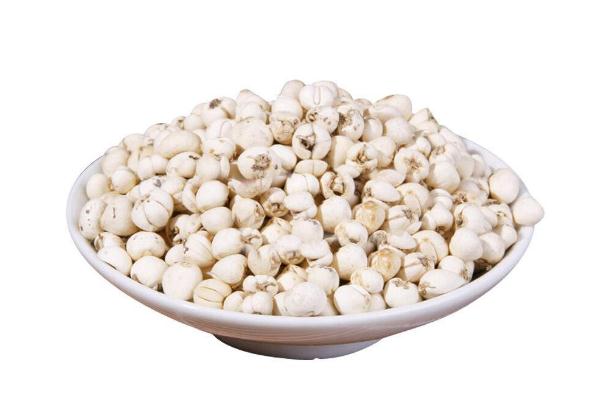 川貝是蓮子嗎 川貝是止咳的嗎 川貝是蓮子嗎 川貝是止咳的嗎