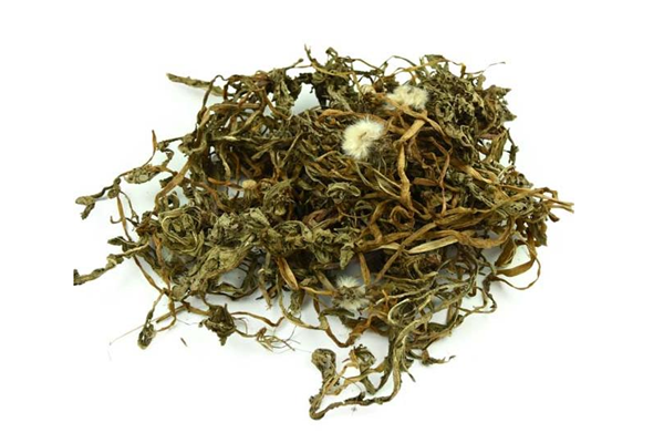 蒲公英可以泡水喝嗎 蒲公英能天天泡水喝嗎 蒲公英可以泡水喝嗎 蒲公英能天天泡水喝嗎