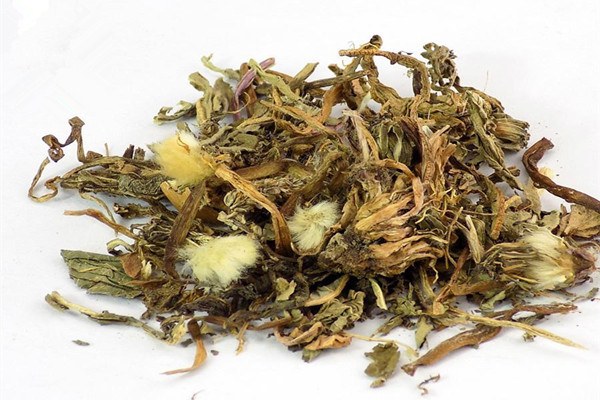 蒲公英有助于睡眠嗎 蒲公英有助于減肥嗎 蒲公英有助于睡眠嗎 蒲公英有助于減肥嗎