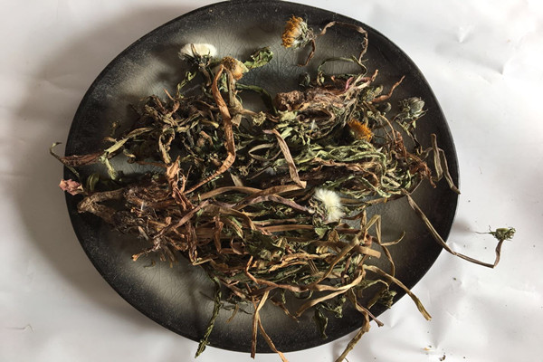 ?蒲公英泡水放多少克 蒲公英泡水什么時(shí)候喝好