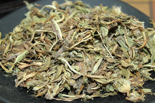 蒲公英泡水喝對肝有好處嗎 蒲公英泡水喝對肺好嗎 蒲公英泡水喝對肝有好處嗎 蒲公英泡水喝對肺好嗎