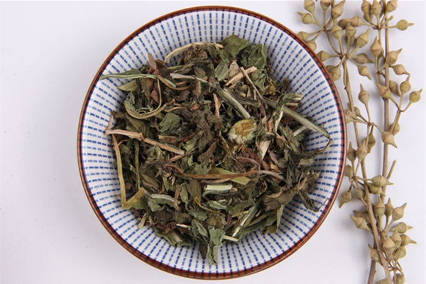 蒲公英孕婦能泡水喝嗎 蒲公英小孩可以泡水喝嗎 蒲公英孕婦能泡水喝嗎 蒲公英小孩可以泡水喝嗎