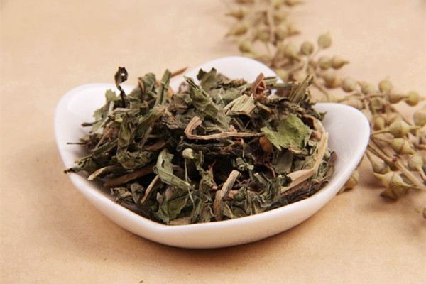 蒲公英孕婦能泡水喝嗎 蒲公英小孩可以泡水喝嗎 蒲公英孕婦能泡水喝嗎 蒲公英小孩可以泡水喝嗎