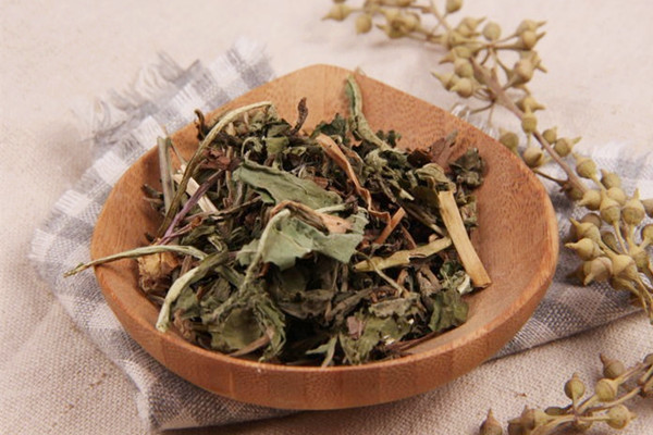 蒲公英會不會回奶 蒲公英哺乳期能吃嗎 蒲公英會不會回奶 蒲公英哺乳期能吃嗎