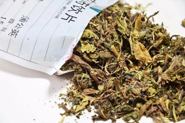 蒲公英怎么挑選 蒲公英如何保存 蒲公英怎么挑選 蒲公英如何保存