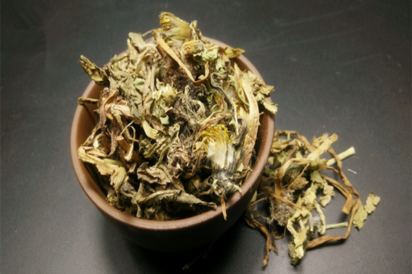 蒲公英怎么挑選 蒲公英如何保存 蒲公英怎么挑選 蒲公英如何保存