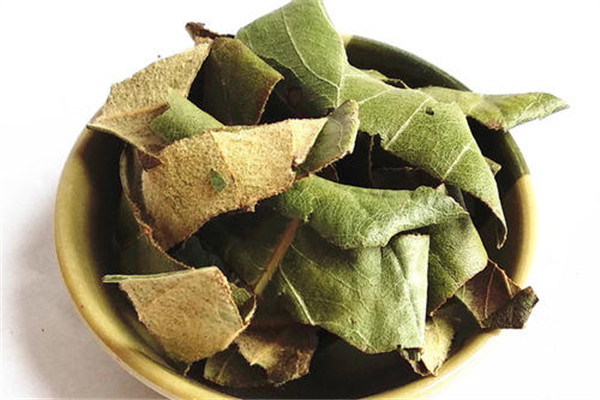 枇杷葉新鮮的好還是曬干的好 枇杷葉會中毒嗎 枇杷葉新鮮的好還是曬干的好 枇杷葉會中毒嗎