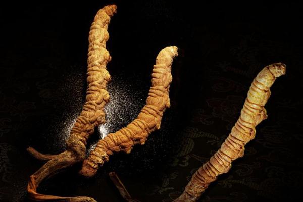 冬蟲夏草有沒(méi)有保質(zhì)期限 冬蟲夏草過(guò)期能吃嗎 冬蟲夏草有沒(méi)有保質(zhì)期限 冬蟲夏草過(guò)期能吃嗎