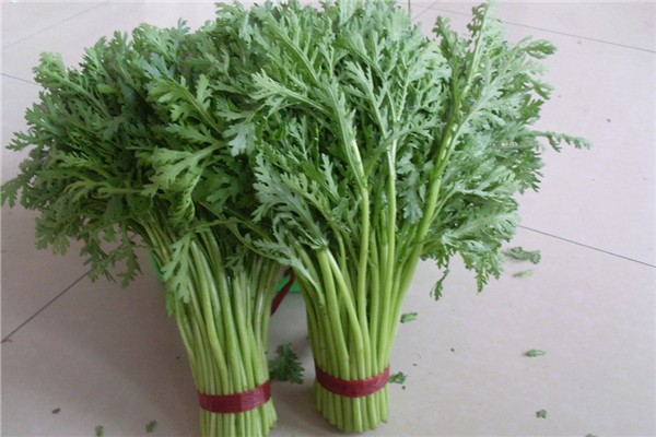 茼蒿是皇帝菜嗎 茼蒿是什么季節(jié)的 茼蒿是皇帝菜嗎 茼蒿是什么季節(jié)的