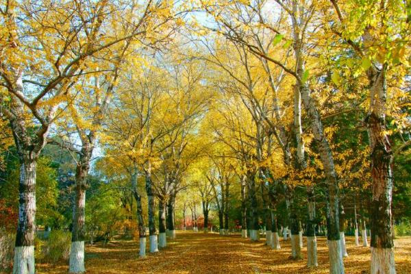 秋分節(jié)氣的含義是什么 秋分節(jié)氣的由來和風(fēng)俗 秋分節(jié)氣的含義是什么 秋分節(jié)氣的由來和風(fēng)俗