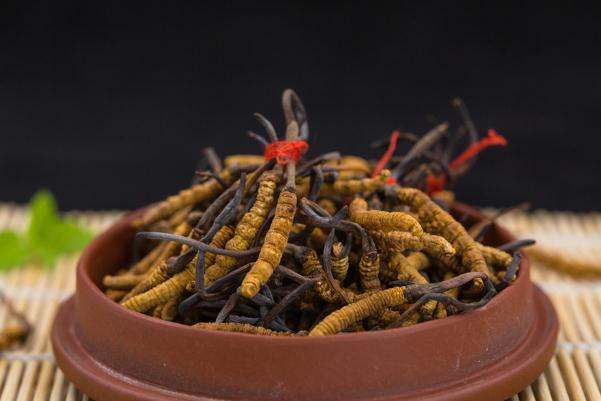 冬蟲夏草會(huì)引起腹瀉嗎 冬蟲夏草會(huì)開花嗎 冬蟲夏草會(huì)引起腹瀉嗎 冬蟲夏草會(huì)開花嗎