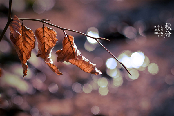 秋分后天氣還熱嗎 秋分后還會(huì)熱多久 秋分后天氣還熱嗎 秋分后還會(huì)熱多久