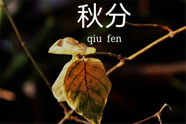 秋分白天黑夜有什么特點 秋分白天和黑夜一樣長嗎 秋分白天黑夜有什么特點 秋分白天和黑夜一樣長嗎