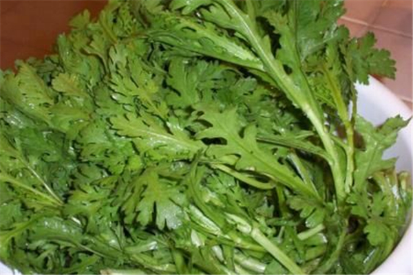 茼蒿可以炒著吃嗎 茼蒿炒前需要開(kāi)水燙嗎 茼蒿可以炒著吃嗎 茼蒿炒前需要開(kāi)水燙嗎