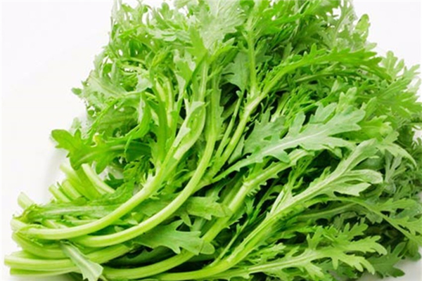 茼蒿可以炒著吃嗎 茼蒿炒前需要開(kāi)水燙嗎 茼蒿可以炒著吃嗎 茼蒿炒前需要開(kāi)水燙嗎