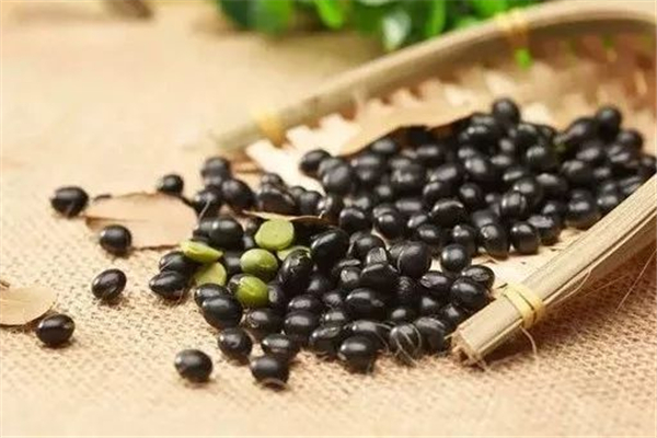 黑豆有降膽固醇的作用嗎 黑豆有降血脂的作用嗎 黑豆有降膽固醇的作用嗎 黑豆有降血脂的作用嗎