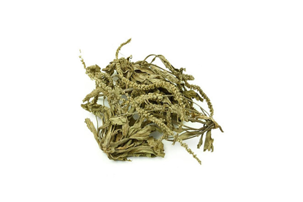 車前草是涼性還是熱性 車前草有毒嗎 車前草是涼性還是熱性 車前草有毒嗎