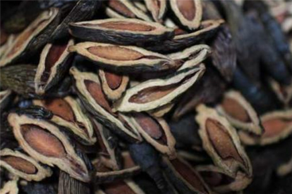 檳榔可以做藥材嗎 檳榔有什么藥用價值 檳榔可以做藥材嗎 檳榔有什么藥用價值