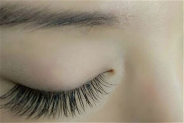 種睫毛是怎么種上去的 種睫毛用的什么毛 種睫毛是怎么種上去的 種睫毛用的什么毛