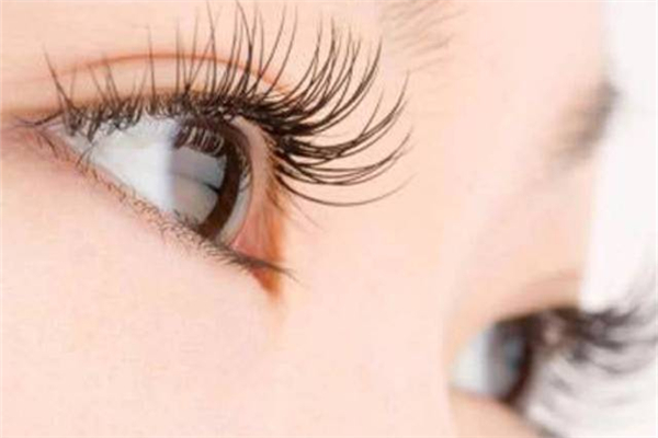 種睫毛是怎么種上去的 種睫毛用的什么毛 種睫毛是怎么種上去的 種睫毛用的什么毛