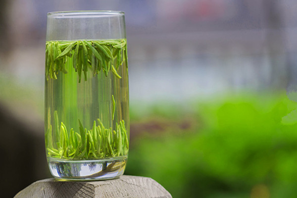 竹葉青茶怎么這么貴 竹葉青茶保存方法 竹葉青茶怎么這么貴 竹葉青茶保存方法