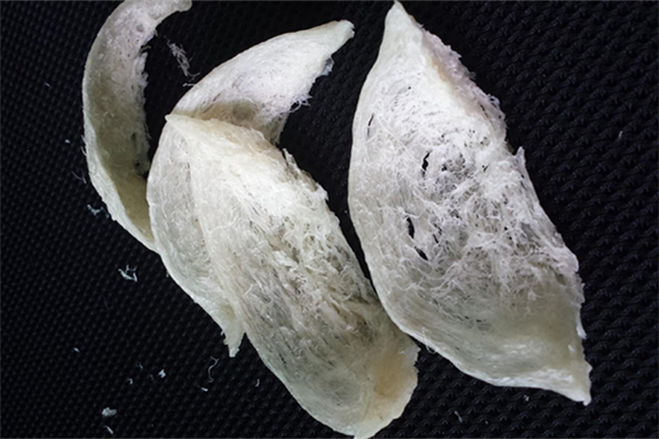 燕窩可以保胎安胎嗎 燕窩孕婦幾個月的時候吃最好 燕窩可以保胎安胎嗎 燕窩孕婦幾個月的時候吃最好