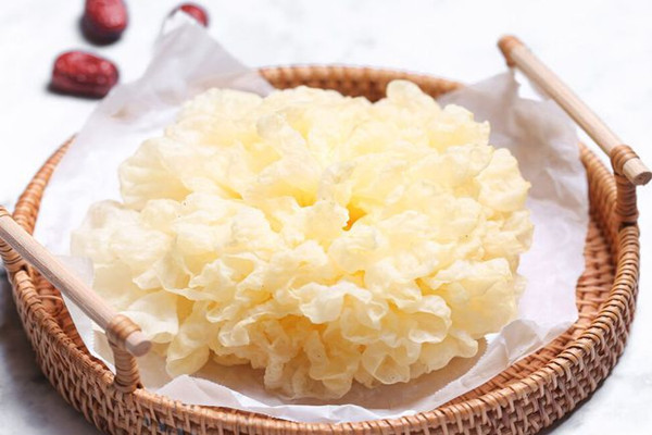 銀耳的營養(yǎng)價(jià)值高嗎 銀耳的藥用價(jià)值 銀耳的營養(yǎng)價(jià)值高嗎 銀耳的藥用價(jià)值