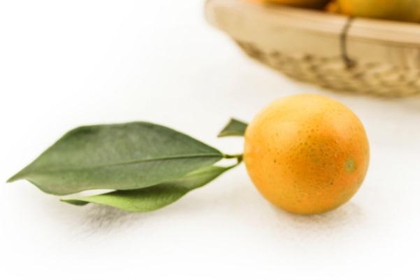 小金桔會回奶嗎 小金桔會胖嗎 小金桔會回奶嗎 小金桔會胖嗎