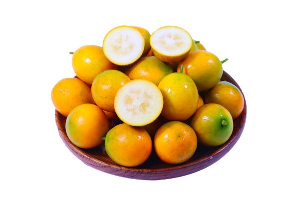 小金桔會回奶嗎 小金桔會胖嗎 小金桔會回奶嗎 小金桔會胖嗎