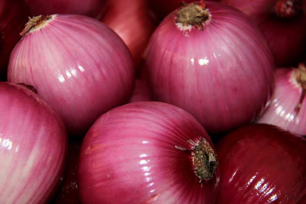 洋蔥能跟牛奶一起吃嗎 洋蔥能跟西紅柿一起吃嗎 洋蔥能跟牛奶一起吃嗎 洋蔥能跟西紅柿一起吃嗎