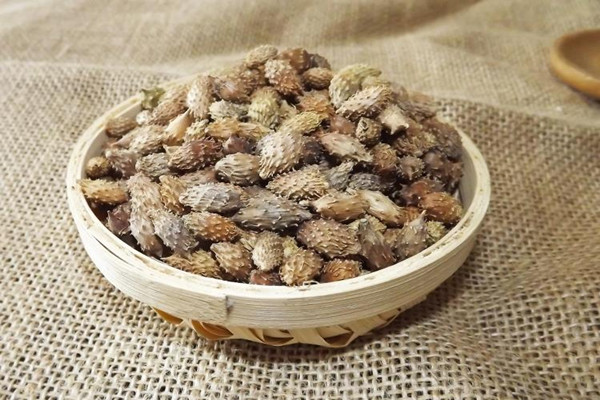 蒼耳子能泡水喝嗎 蒼耳子泡水喝的功效 蒼耳子能泡水喝嗎 蒼耳子泡水喝的功效