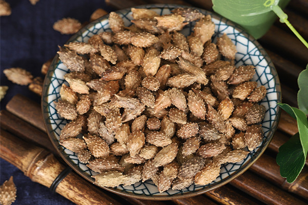 蒼耳子能泡酒嗎 蒼耳子泡酒怎么泡 蒼耳子能泡酒嗎 蒼耳子泡酒怎么泡