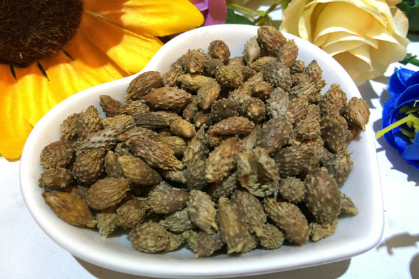 蒼耳子對胃有影響嗎 蒼耳子對肝臟有損害嗎 蒼耳子對胃有影響嗎 蒼耳子對肝臟有損害嗎