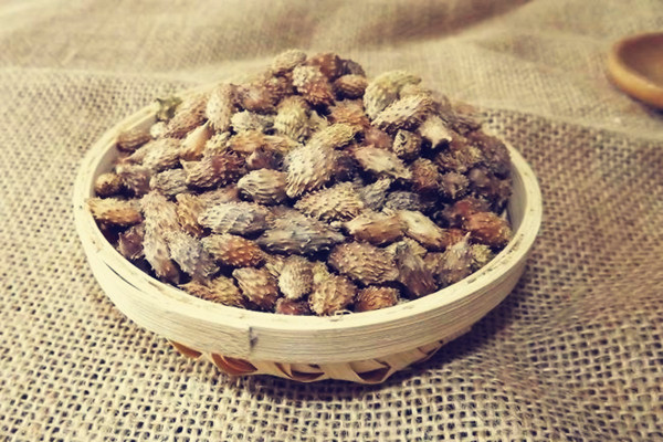 蒼耳子對胃有影響嗎 蒼耳子對肝臟有損害嗎 蒼耳子對胃有影響嗎 蒼耳子對肝臟有損害嗎