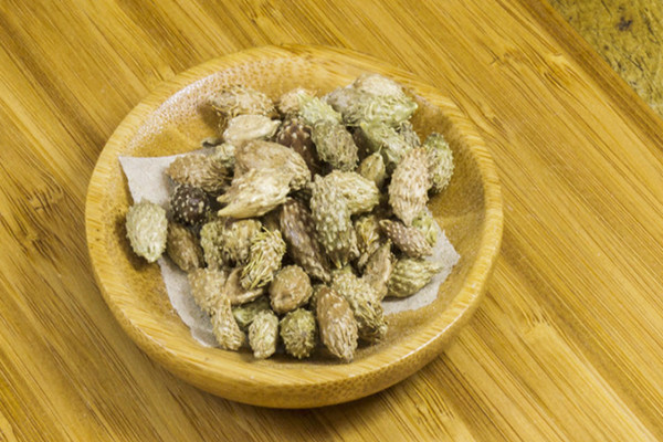 蒼耳子在哪里買 蒼耳子賣多少錢一斤 蒼耳子在哪里買 蒼耳子賣多少錢一斤