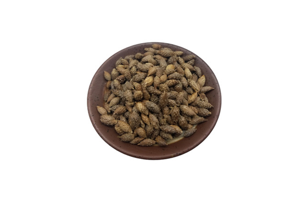 蒼耳子什么人不能用 蒼耳子適合什么人吃 蒼耳子什么人不能用 蒼耳子適合什么人吃