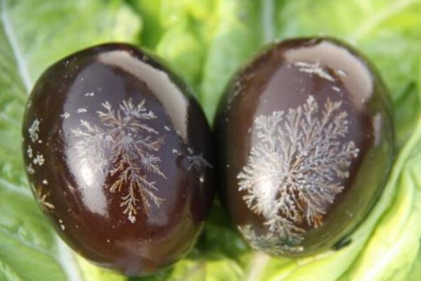 皮蛋要怎么保存 皮蛋要怎么切碎不粘刀 皮蛋要怎么保存 皮蛋要怎么切碎不粘刀