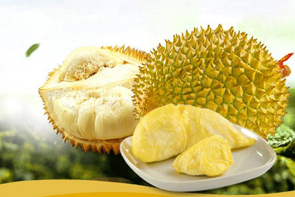 榴蓮的營養(yǎng)價(jià)值有哪些 榴蓮一次吃多少為宜 榴蓮的營養(yǎng)價(jià)值有哪些 榴蓮一次吃多少為宜